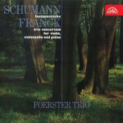 Foerster Trio - Schumann: Fantazijní skladby - Franck: Klavírní trio (2016)