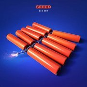 Seeed - BAM BAM (2019) Hi Res