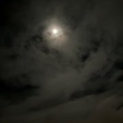 Cindytalk - That We Must Pass Through This Life (2026) [Hi-Res]