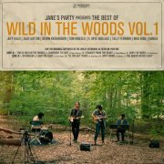 Jane's Party - The Best of Wild in the Woods, Vol. 1 (2023) Hi Res