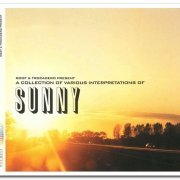 VA - A Collection of Various Interpretations of Sunny (2002)