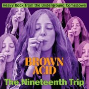 VA - Brown Acid - The Nineteenth Trip (2024) [Hi-Res]