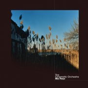 The Cinematic Orchestra - Ma Fleur (2007/2021) [24bit FLAC]