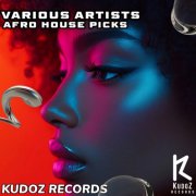 VA - Afro House Picks (2025)