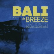 VA - Bali Breeze Grooves, Vol.05 (2025)