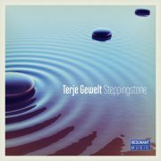 Terje Gewelt - Steppingstone (2014)