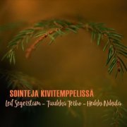 Leif Segerstam - Sointeja Kivitemppelissä (2023)