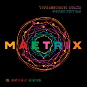 Trondheim Jazz Orchestra & Espen Berg - Maetrix (2024) [Hi-Res]