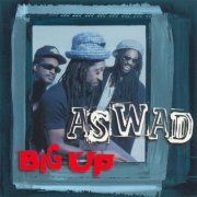 Aswad - Big Up (1997)