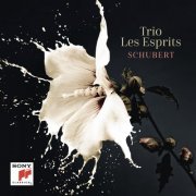 Trio Les Esprits - Schubert (2019) [Hi-Res]