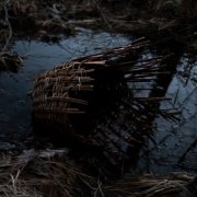 Massimo Silverio - Surtùm (2025) Hi-Res
