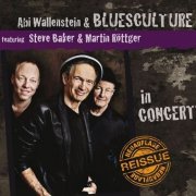 Abi Wallenstein and Bluesculture featuring Steve Baker and Martin Roettger - In Concert (Reissue) (2014)