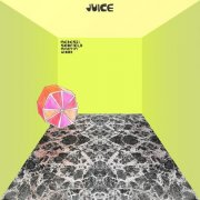 Medeski Scofield Martin & Wood - Juice (2014) [Vinyl]