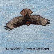 AJ Woods - Hawk Is Listenin' (2024) Hi-Res