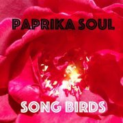 Paprika Soul - Song Birds (2018)