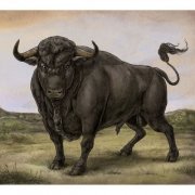 San Fermin - San Fermin (2013)