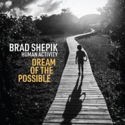 Brad Shepik - Human Activity: Dream of the Possible (2024)