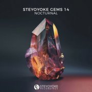 VA - Steyoyoke Gems Nocturnal 14 (2025)