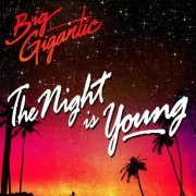 Big Gigantic - The Night Is Young (2014)