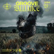 VA - Groove Alliance 5 (2026)