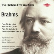 Hagaï Shaham, Arnon Erez, Raphael Wallfisch, Daniel Raiskin, Staatsorchester Rheinische Philharmonie - Brahms: Works for Strings (2016)