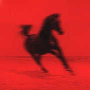 Red Rum Club - BUCK (2025) [Hi-Res]