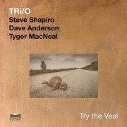 Steve Shapiro - Tri/0: Try the Veal (2020)