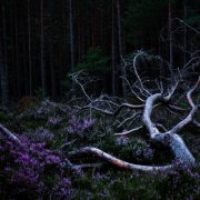 Aho Ssan & Resina - Ego Death (2025)
