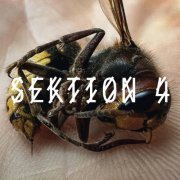 VA - SEKTION 4 (2024)