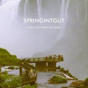 Springintgut - Where We Need No Map (2013)