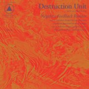 Destruction Unit - Negative Feedback Resistor (2015)