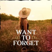 VA - Want To Forget (2024)