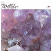 VA - New World Ambient 01 (2006) {SYS1078-2} [FLAC CD]