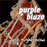 Purple Bluze - Just Right Now (2014)