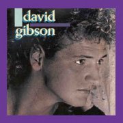 David Gibson - David Gibson (1988)