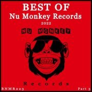 VA - Best Of Nu Monkey Records 2022, Pt. 3 (2023)