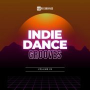 VA - Indie Dance Grooves, Vol. 22 (2024)