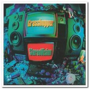 Grasshopper - StereoVision (1994)