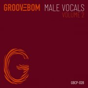 VA - Male Vocals - Volume 2 (2026)