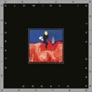 Django Django - Glowing in the Dark (Deluxe Edition) (2021) [Hi-Res]