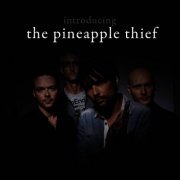 The Pineapple Thief - Introducing... The Pineapple Thief (2014)