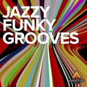 Anton Borovyi - Jazzy Funky Grooves (2023)