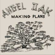 Angel Oak - Making Plans (2024)