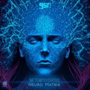 Metempsychosis - Neuro Matrix (2023)