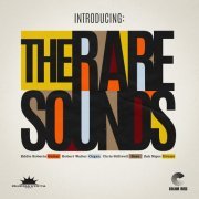 The Rare Sounds - Introducing: The Rare Sounds (2024) [Hi-Res]