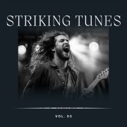 VA - Striking Tunes Vol 3 (2023)