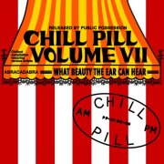 VA - Chill Pill Volume VII (2025)