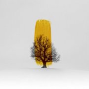 VA - Aureolin Winter (2026)