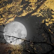 Fallen - Secret Prayers to the Wise Dormant Moon (2025)