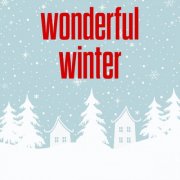 VA - wonderful winter (2025)